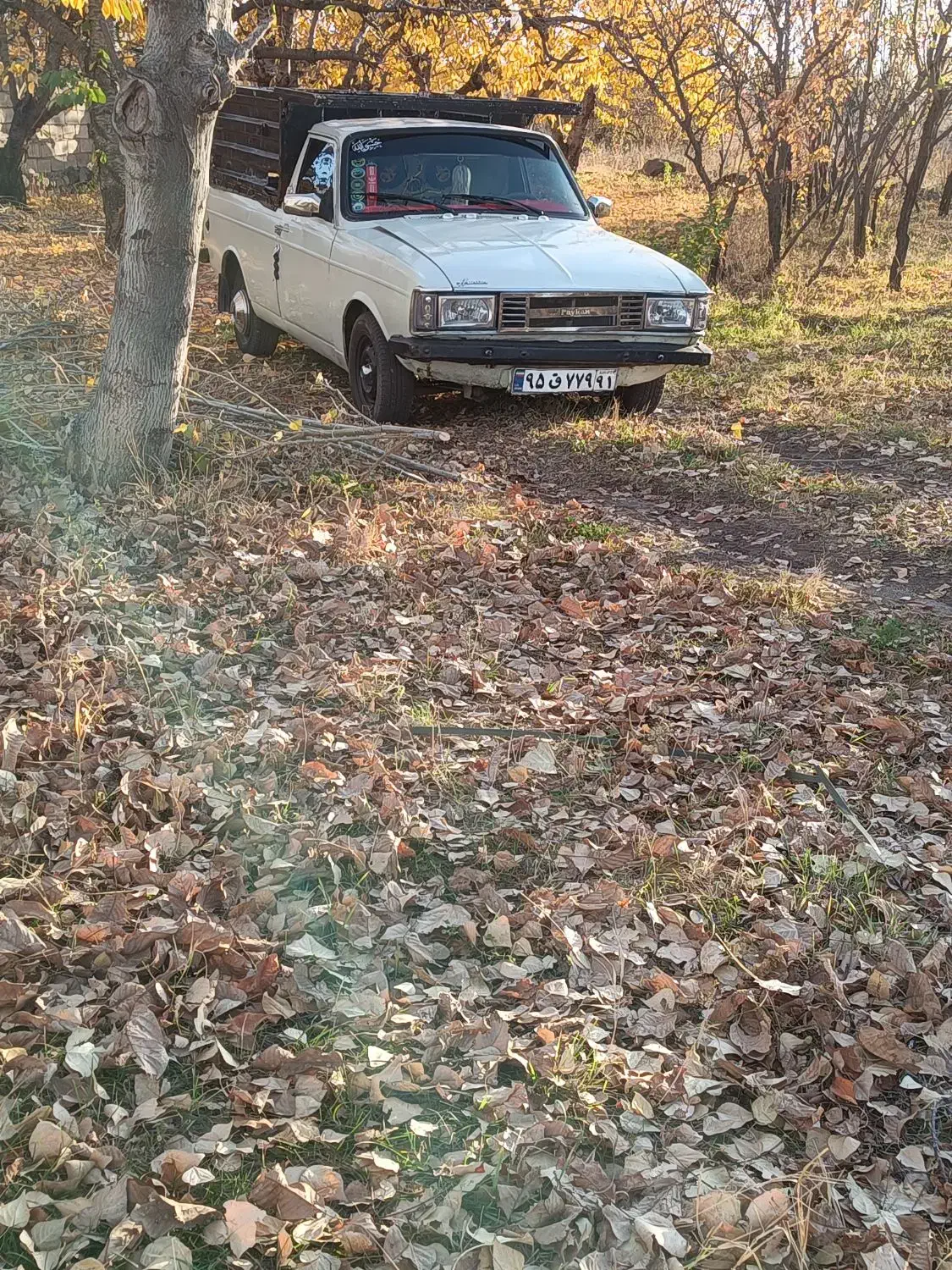 وانت پیکان|خودرو سواری و وانت|مشگین شهر, |دیوار