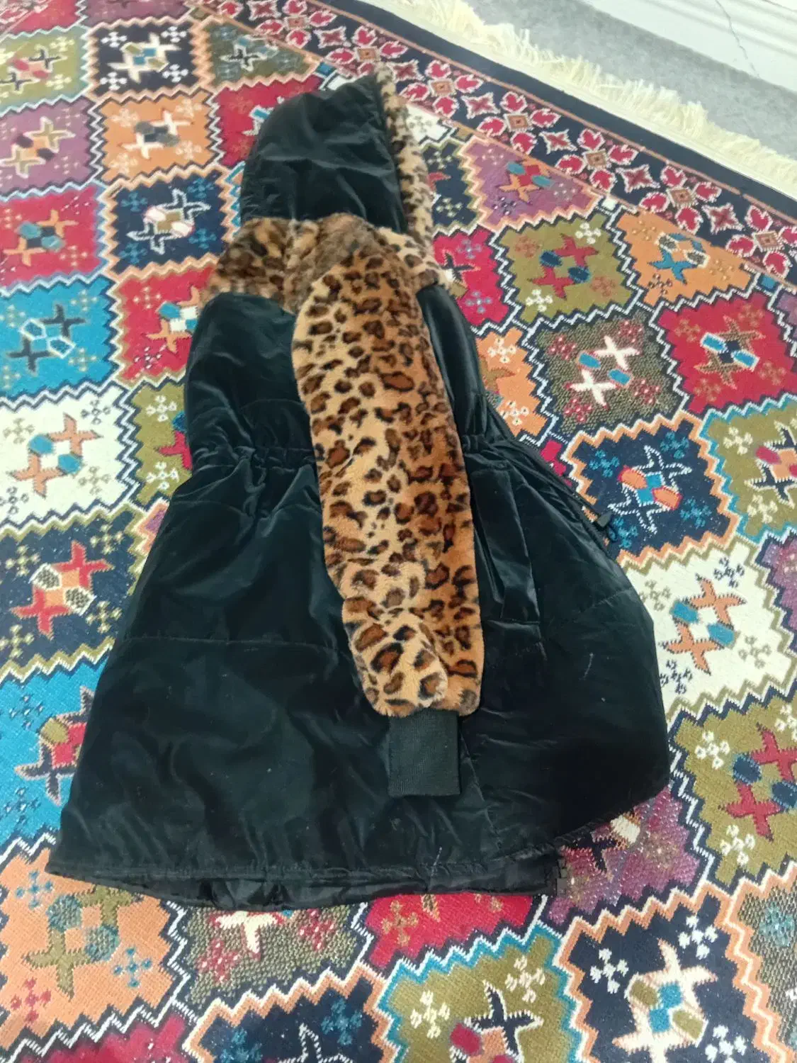 پالتو پلنگی|لباس|قم, ولیعصر|دیوار