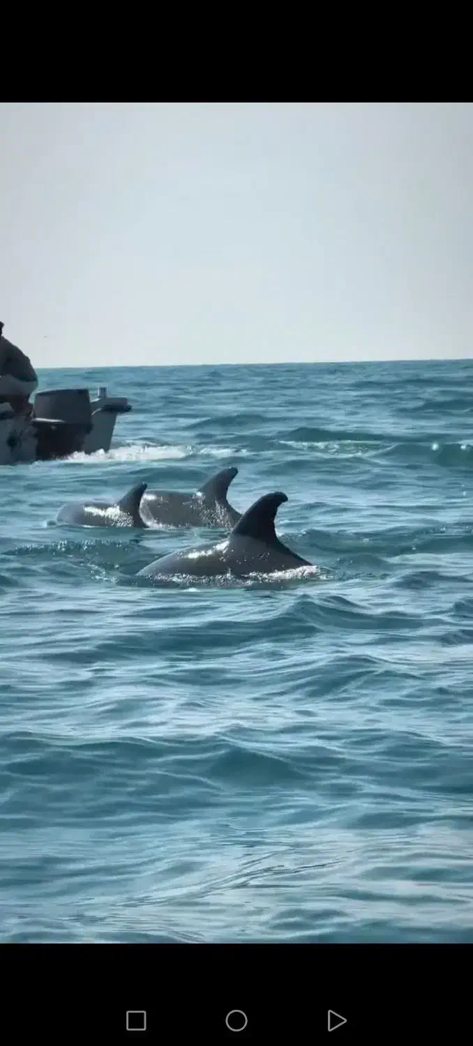 سفر ب دریا دورهمی کنار اب بازدید از جاهای دینی|تور و چارتر|زرند, |دیوار