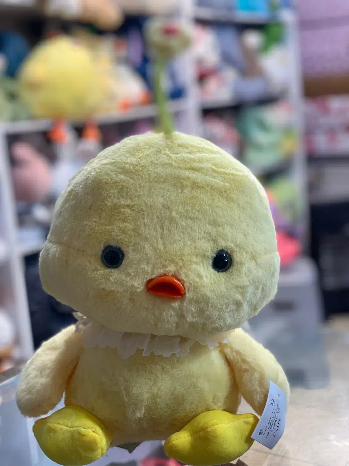 عروسک سایز کوچیک ‌بزرگ|اسباب‌بازی بچه|هشتگرد, هشتگرد قدیم|دیوار