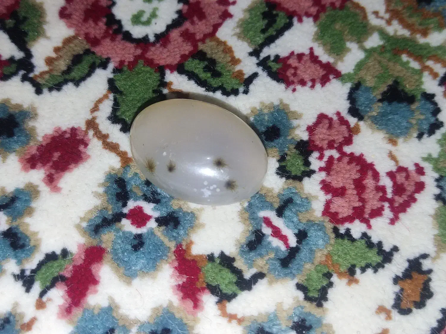 نگین شجر|جواهرات|جیرفت, |دیوار