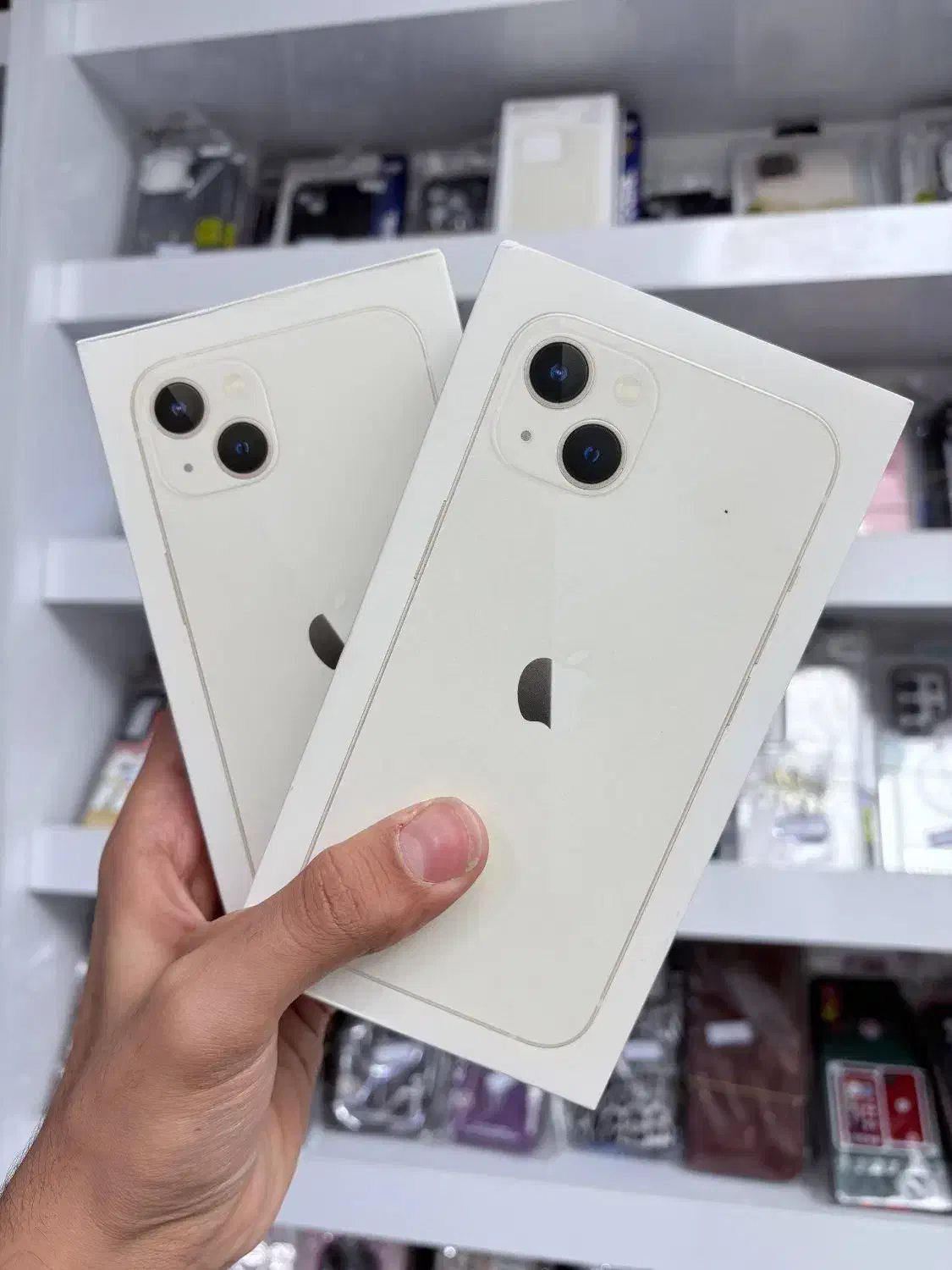 گوشی iphone 13|موبایل|زاهدان, |دیوار