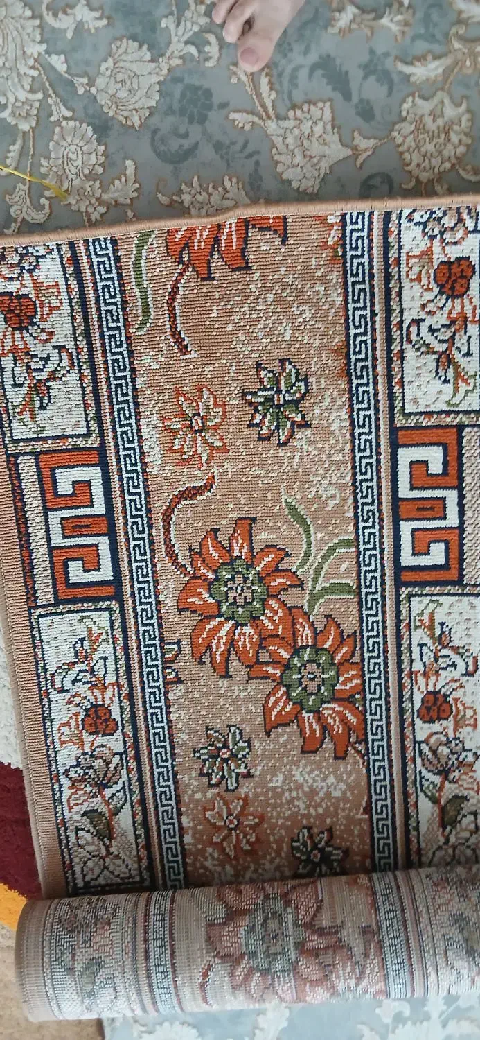 چندعدد فرش وکناره وروفرشی|فرش|اردبیل, |دیوار