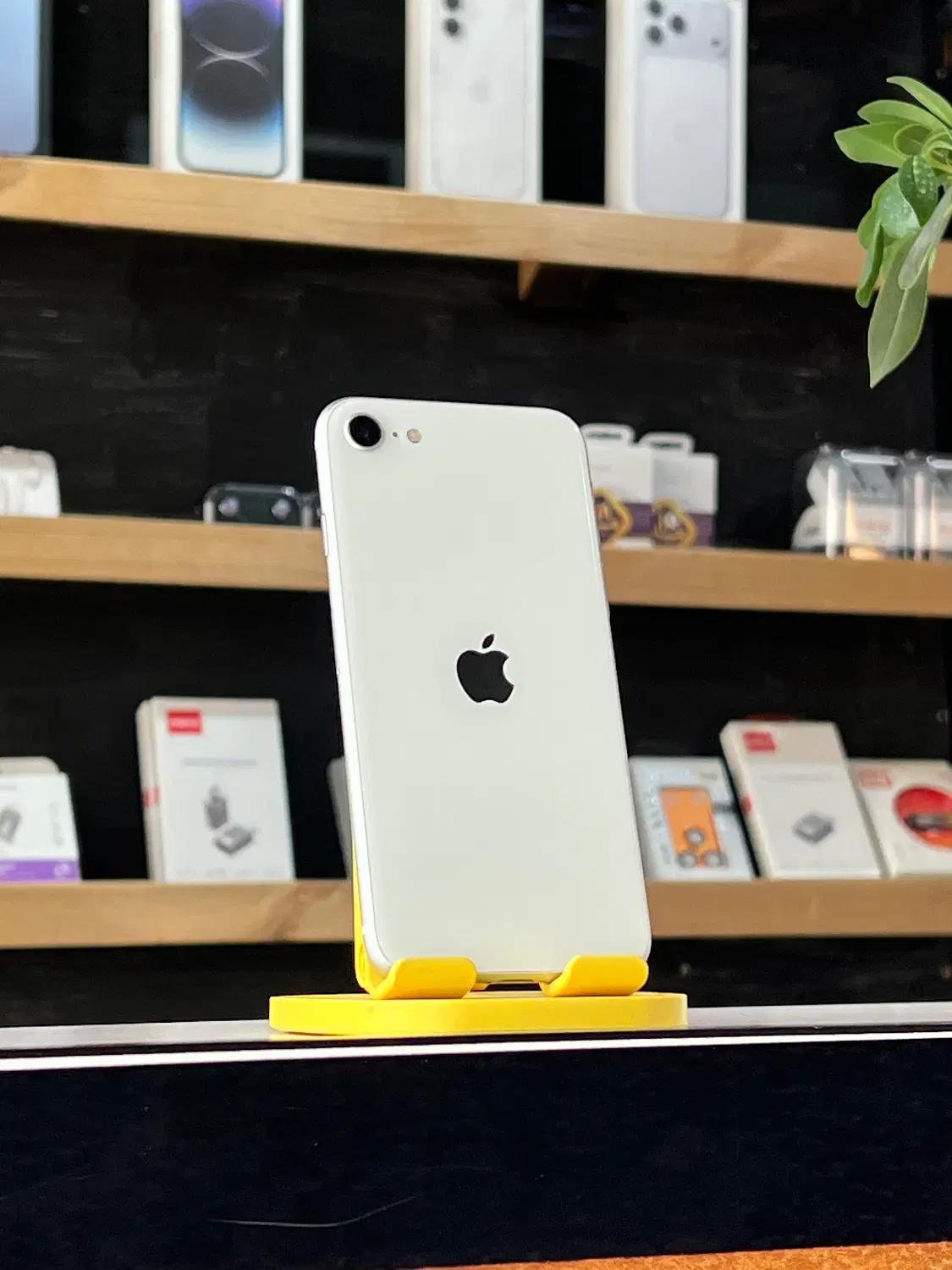 iphone se 2020|موبایل|قم, علی آباد سعدگان|دیوار