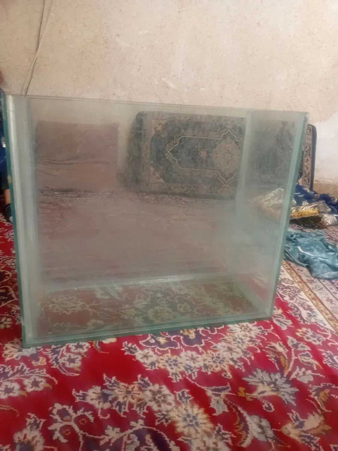 آکواریوم ماهی|ماهی|شیراز, کوشک میدان|دیوار