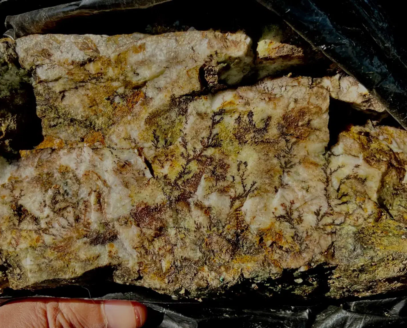 سنگ|کلکسیون اشیاء عتیقه|تبریز, |دیوار