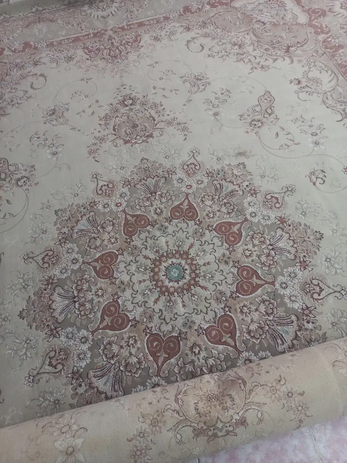 پادری فرش هم دارم|فرش|بندرعباس, |دیوار