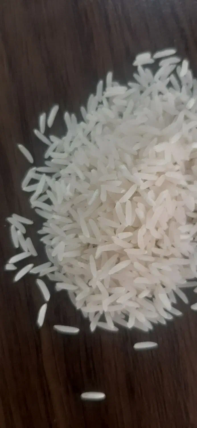 برنج فجر سوزنی ۱۲۰ روزه مستقیم از کشاورز|خوردنی و آشامیدنی|گرگان, |دیوار