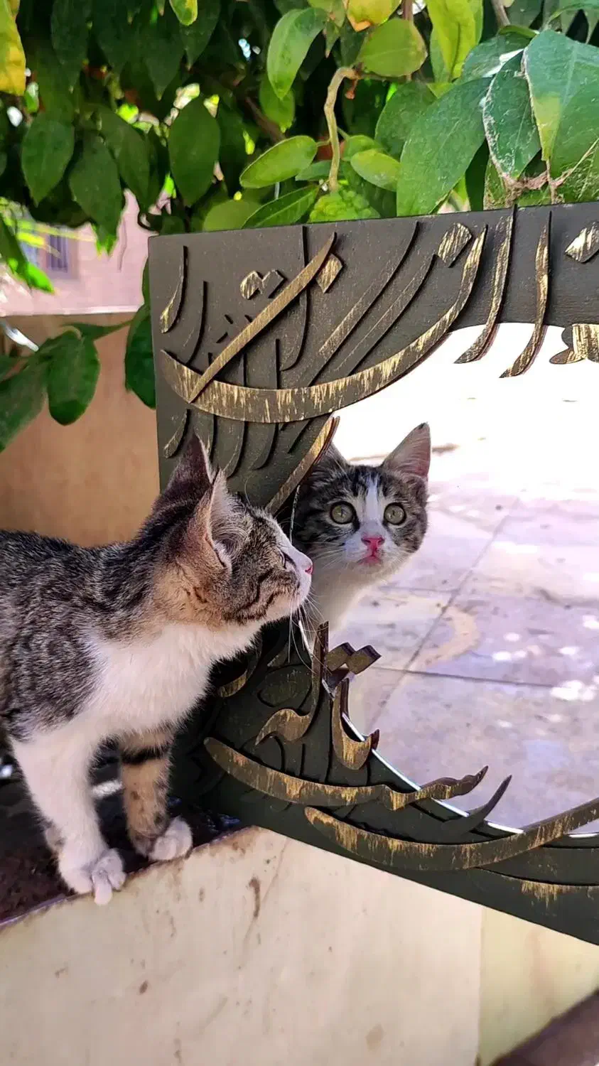 آینه|آینه|اشکذر, |دیوار