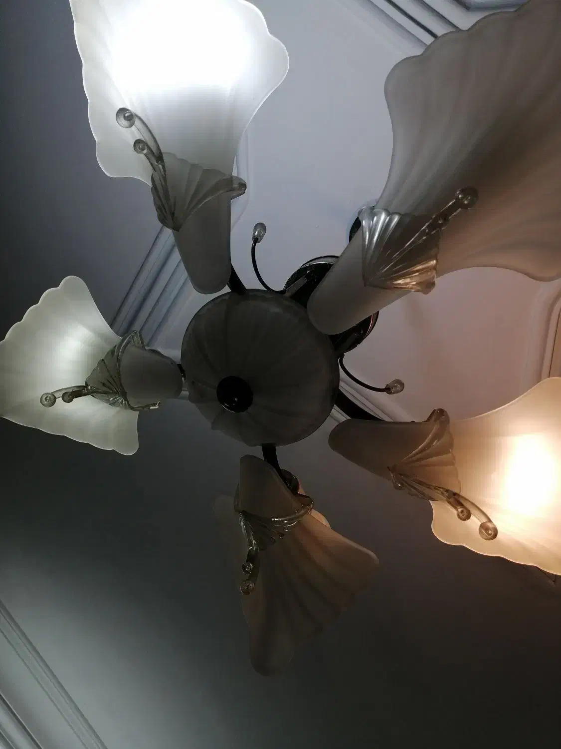 لوستر|لوستر و چراغ آویز|رشت, لاکان شهر|دیوار