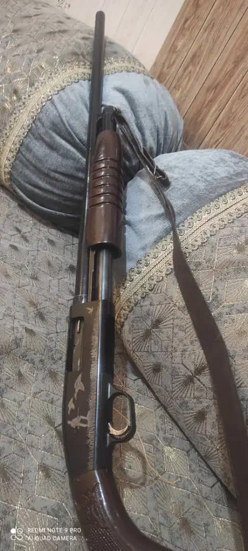 قلیون|کلکسیون و سرگرمی|زابل, |دیوار