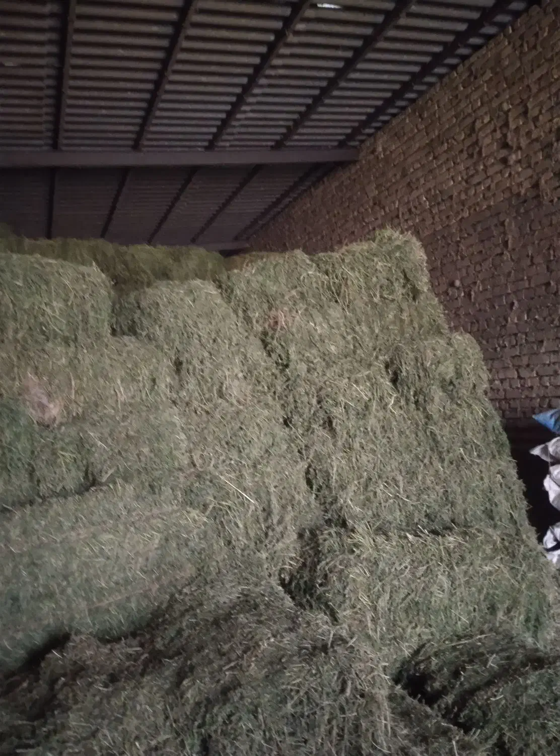 یونجه پرس|عمده‌فروشی|دهگلان, |دیوار