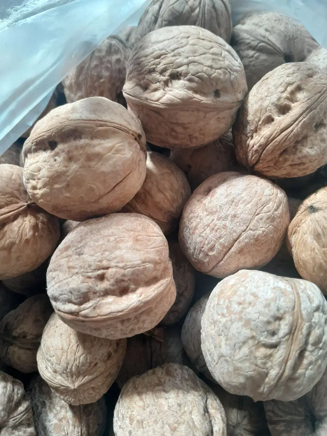 درجه یک|خوردنی و آشامیدنی|نهاوند, |دیوار