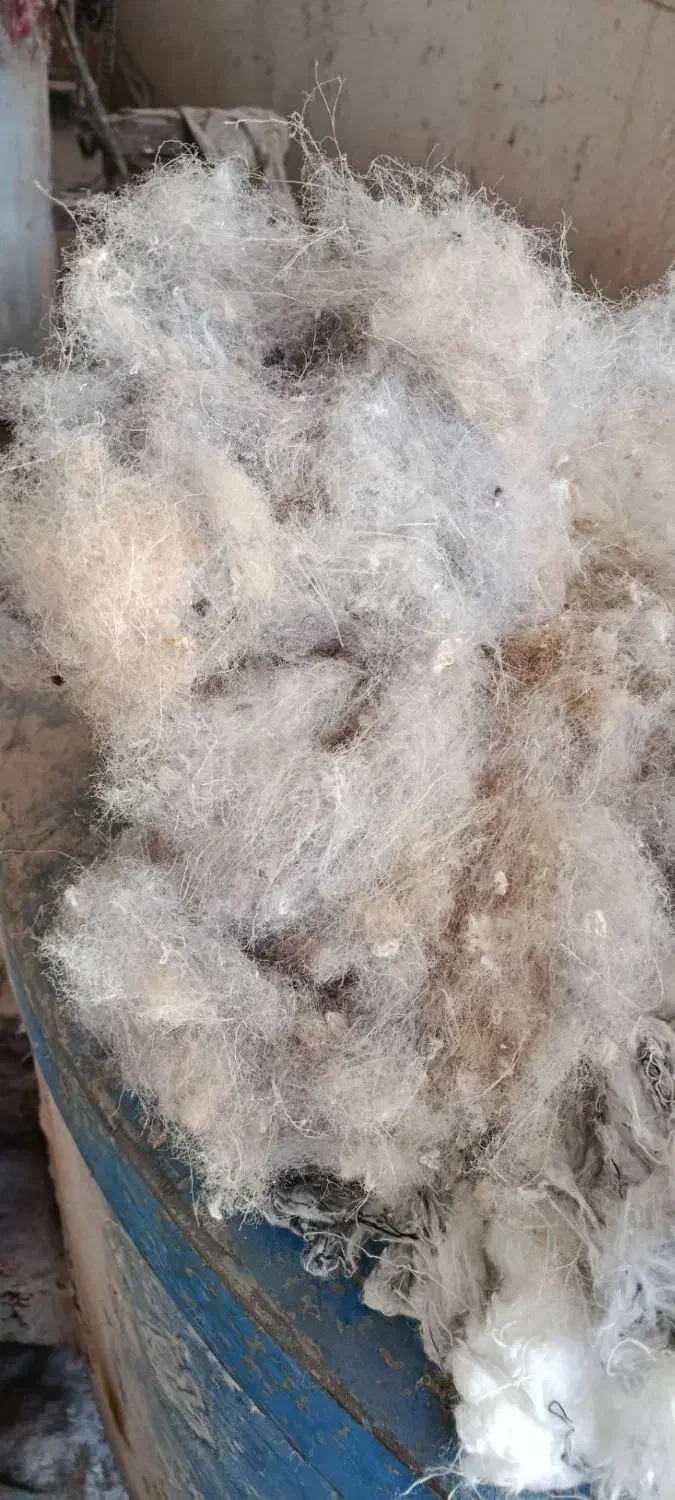 عدل پرز|رختخواب، بالش، پتو|مشهد, مقدم|دیوار