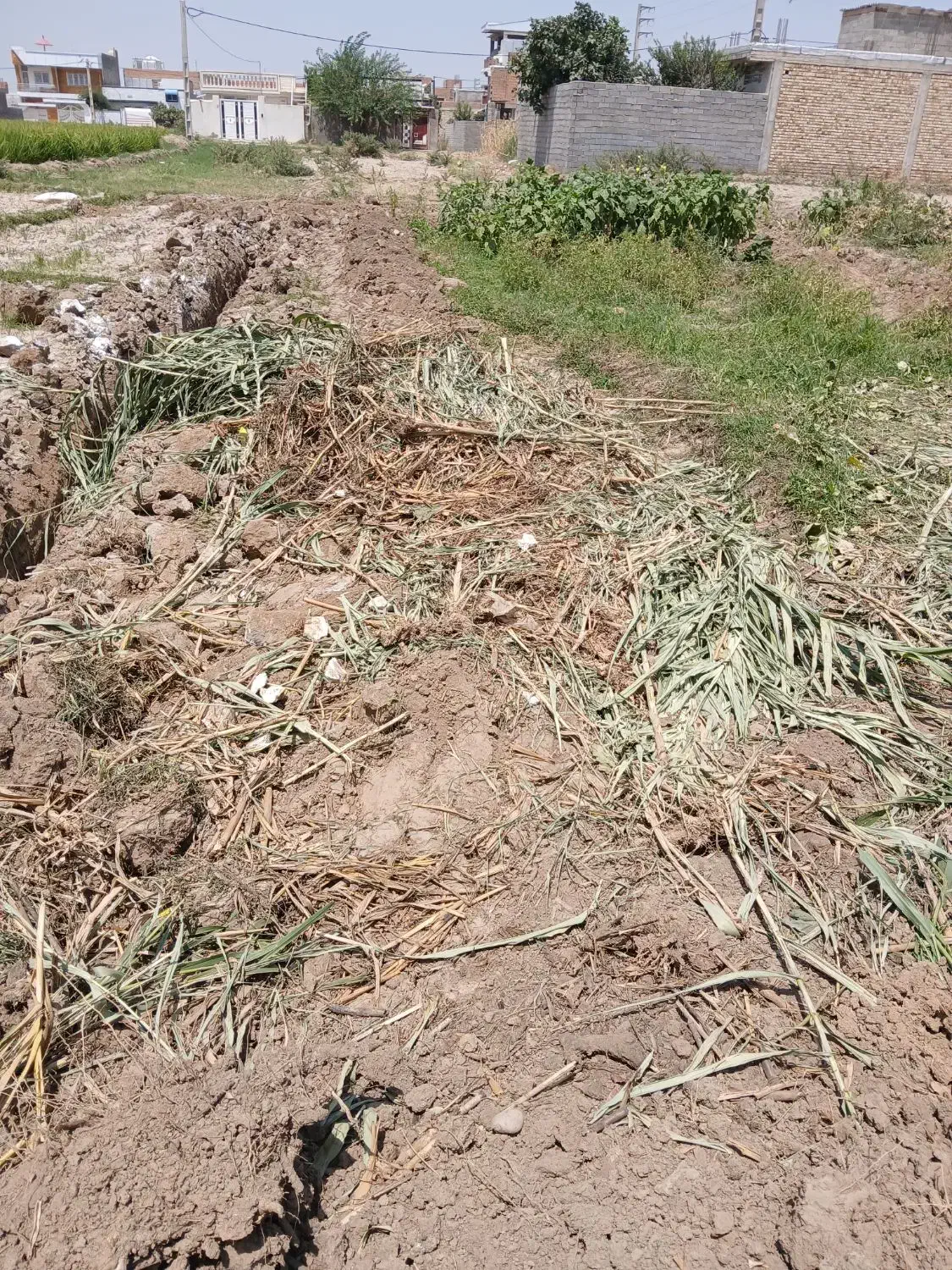 زمین ۱۰۰ متر زمین مسکونی ۳۳۰ میلیون معاوضه طلا|فروش زمین و ملک کلنگی|گالیکش, |دیوار