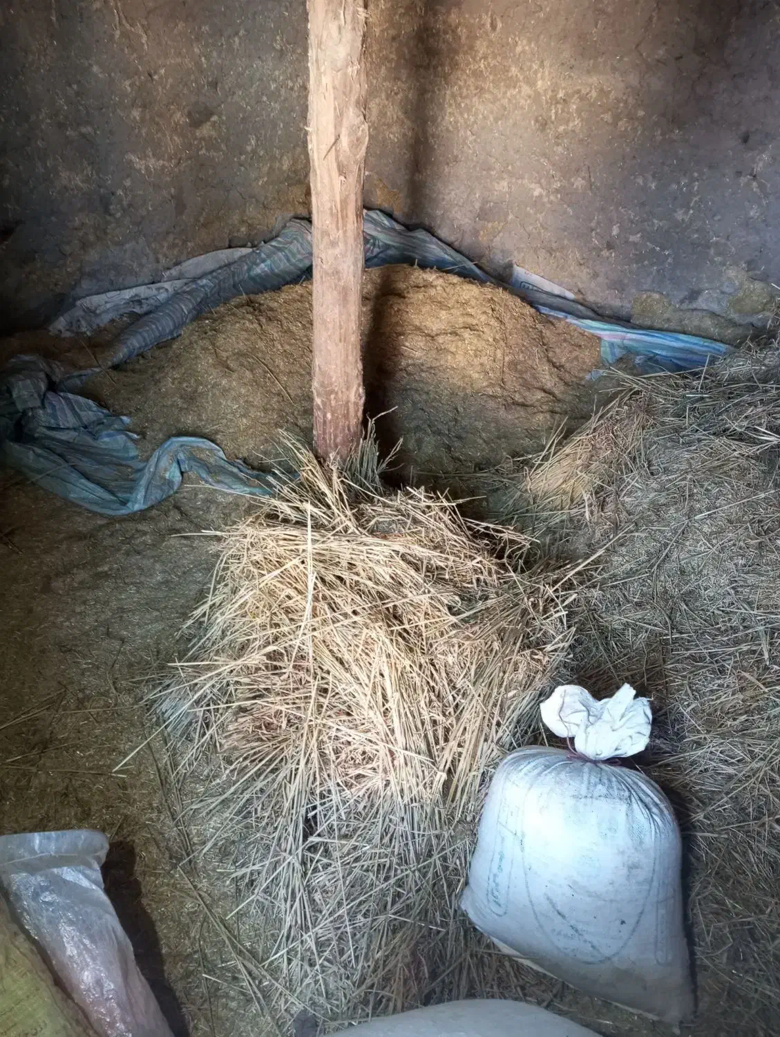 علوفه فله ای. ودوباردان کاه|لوازم جانبی حیوانات|اهر, |دیوار