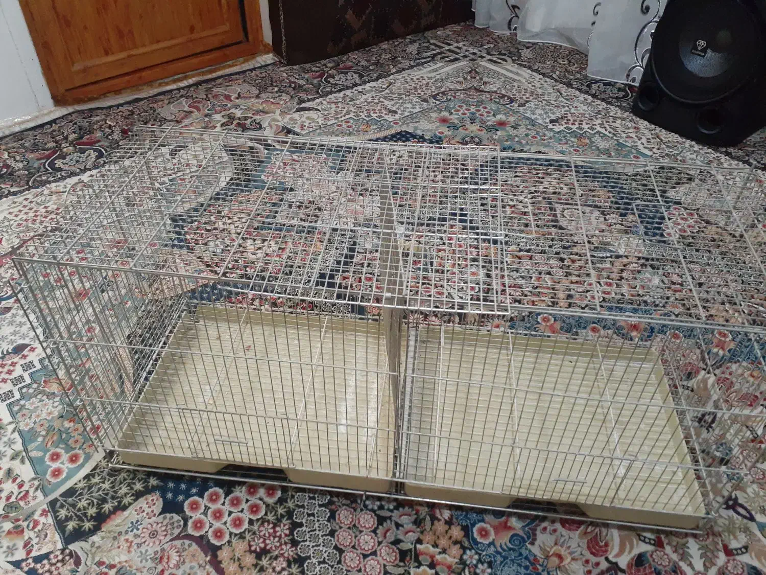 قفس|لوازم جانبی حیوانات|شیراز, اصلاح‌نژاد|دیوار