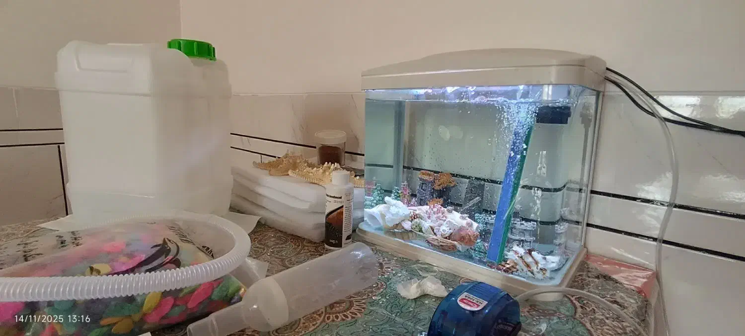 آکواریوم ماهیران مدل M-22|ماهی|تیران, |دیوار