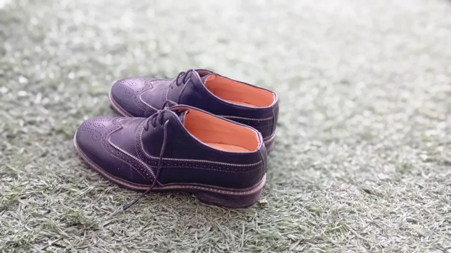 کفش مجلسی مردانه|کیف، کفش، کمربند|آبپخش, |دیوار