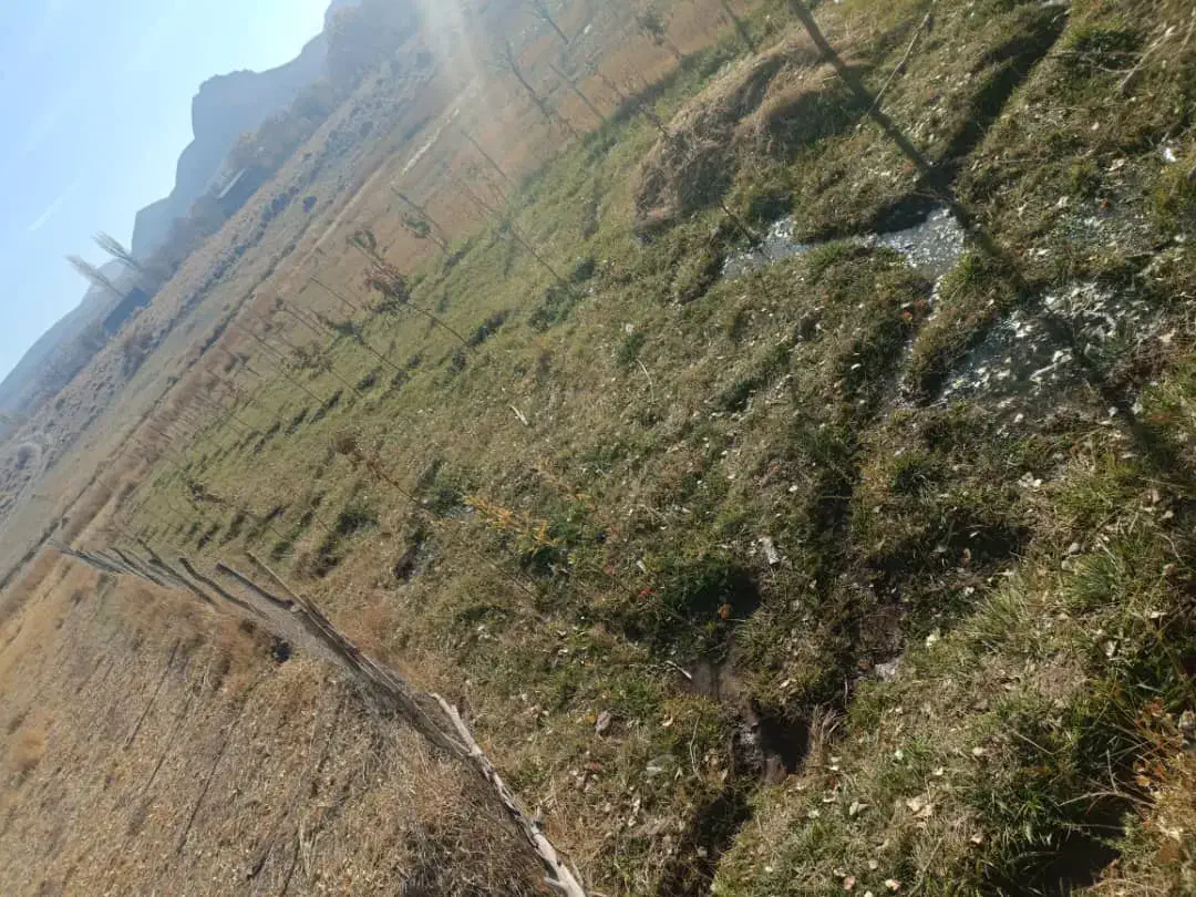 500متر زمین در روستای خوش اب وهوای گوغر|فروش زمین و ملک کلنگی|بافت, |دیوار