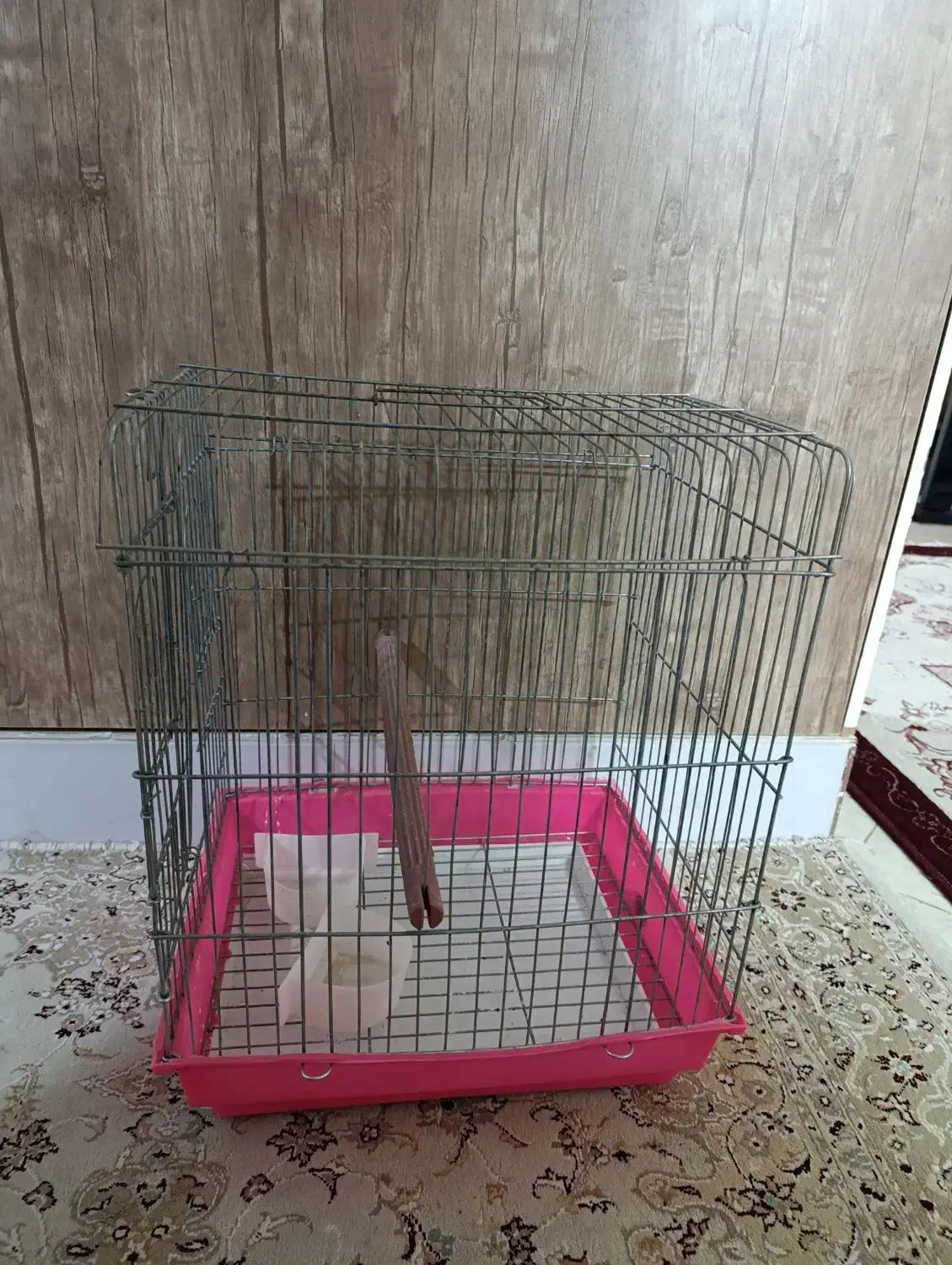 قفس پرنده|لوازم جانبی حیوانات|گرمسار, |دیوار