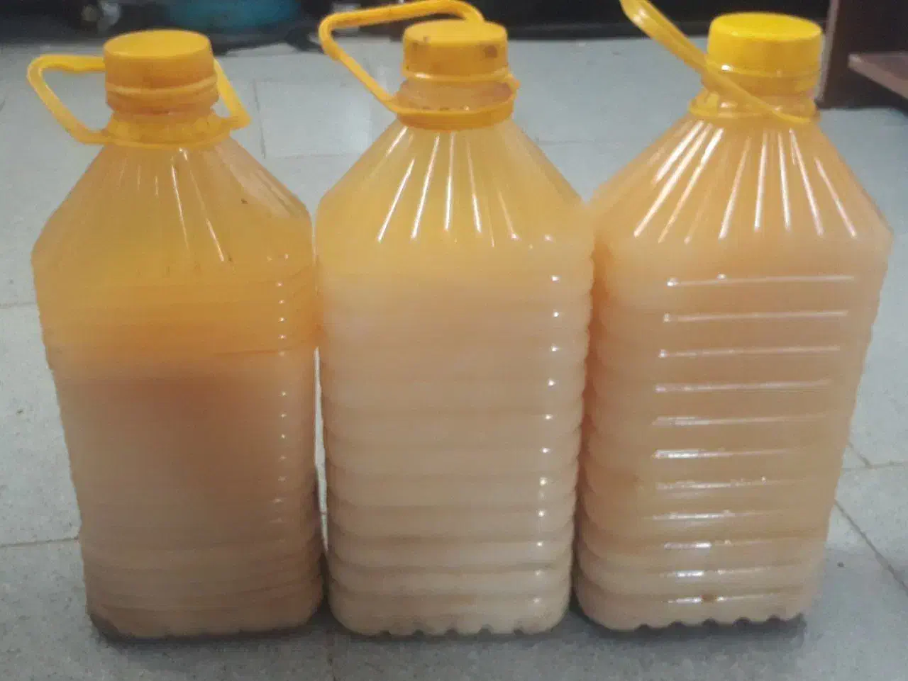 روغن شترمرغ اصل|آرایشی، بهداشتی، درمانی|شیراز, ریشمک|دیوار