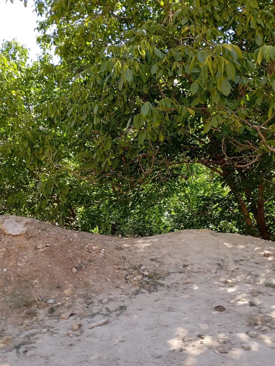 یک باب منزل مسکونی اجاره داده میشود|اجارهٔ آپارتمان|سوق, |دیوار