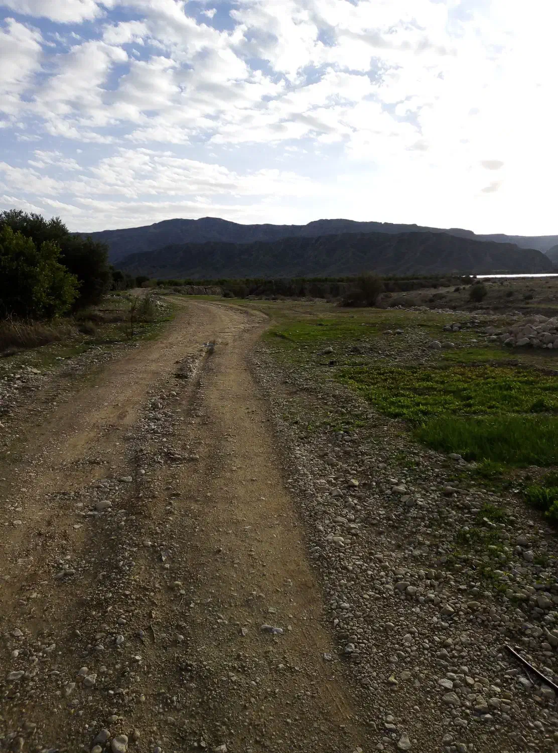 4هکتار زمین برقی شنبه|فروش دفتر صنعتی، کشاورزی، تجاری|شنبه و طسوج, |دیوار