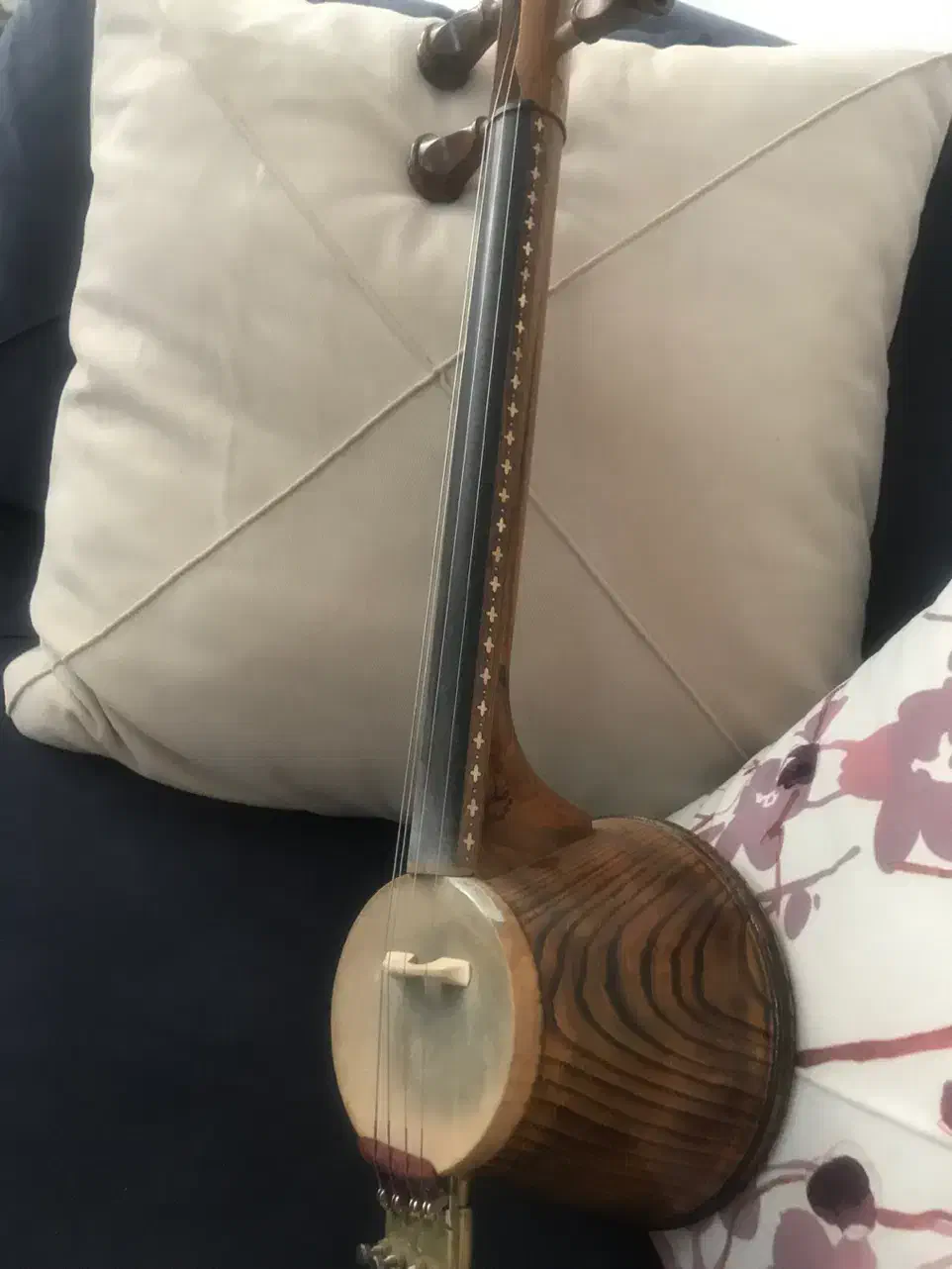 کمانچه حرفه ای محمدرضا|سازهای سنتی|دورود, |دیوار