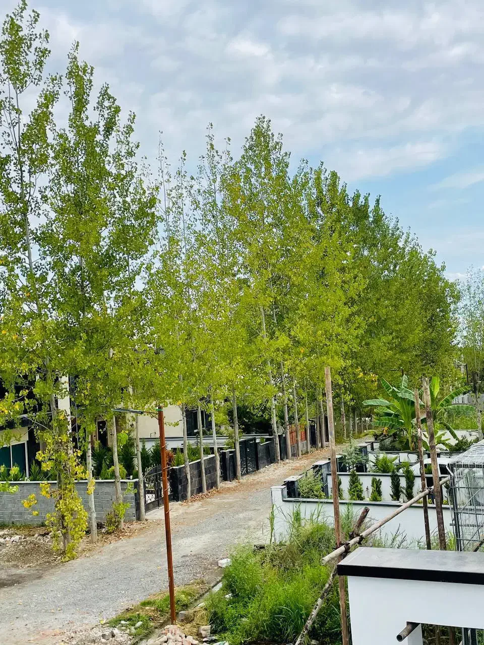 زمین قابل ساخت انشعابات سر ملک سنددار|فروش زمین و ملک کلنگی|چمستان, |دیوار