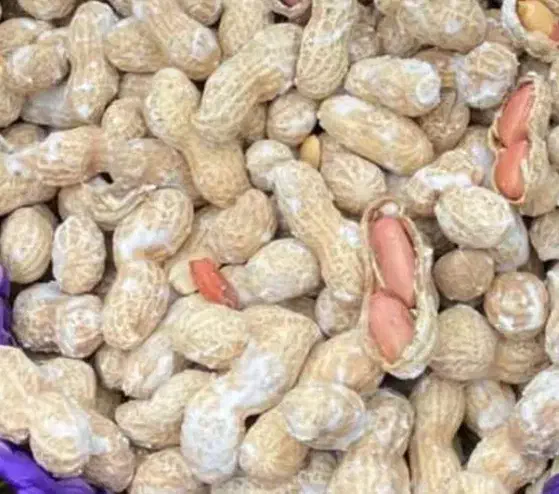 بادام زمینی نمیکی آجیل تخمه وو باقیمت باور نکردنی|خوردنی و آشامیدنی|شاهینشهر, طالقانی|دیوار