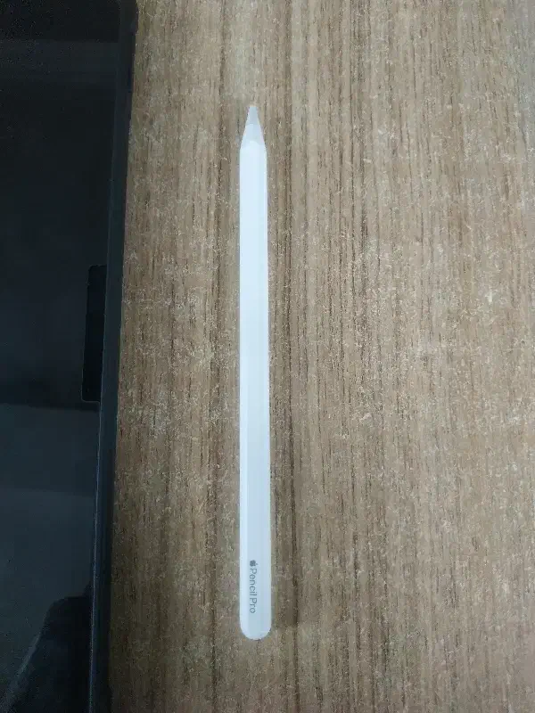 ipad pro+pencil pro|تبلت|رشت, چله خانه|دیوار