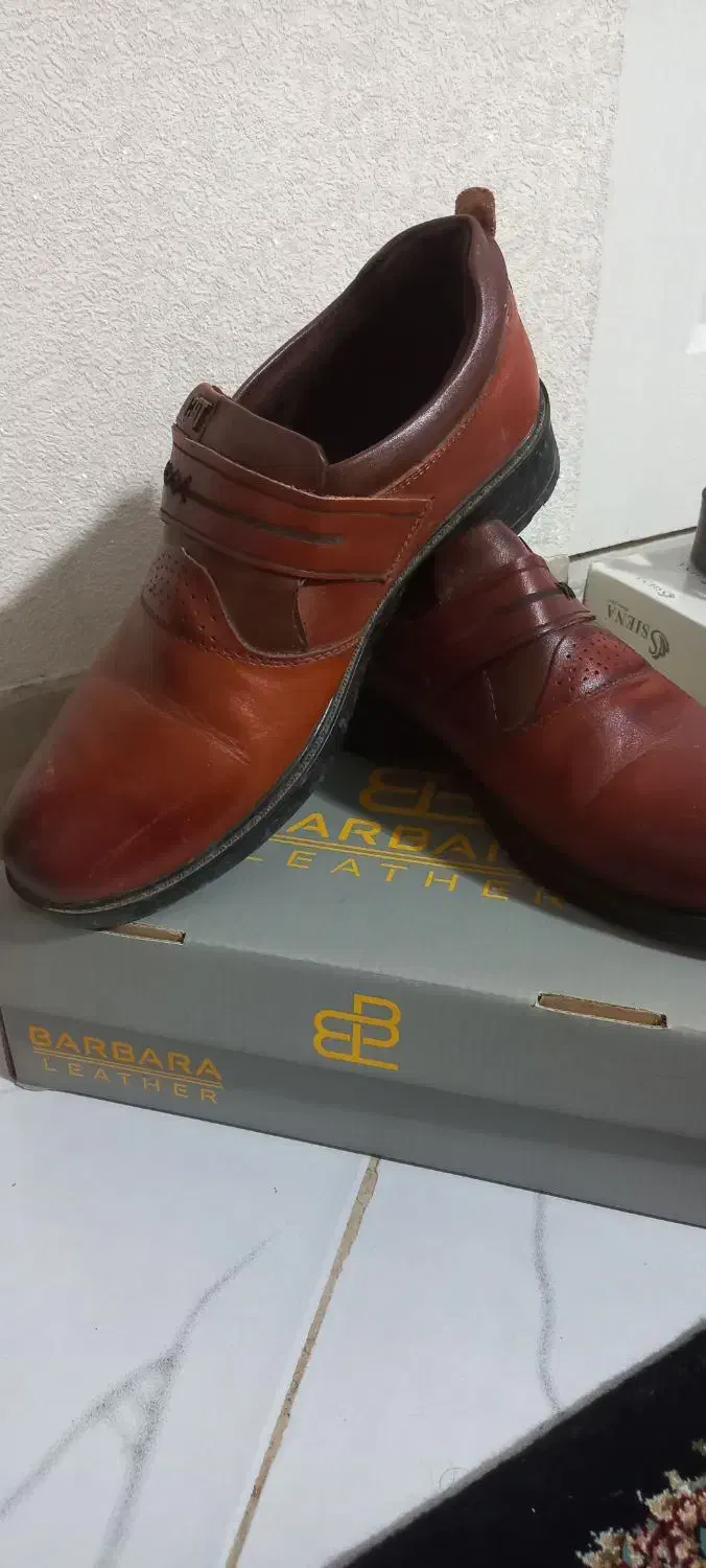 مردانه کفش|کیف، کفش، کمربند|قدس, شهر‌قدس|دیوار