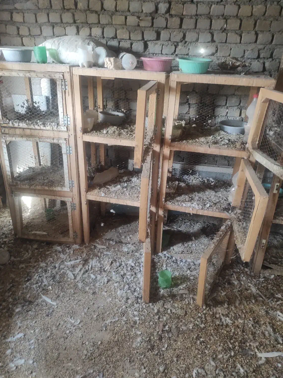 جفتگاه چوبی کبوتر|لوازم جانبی حیوانات|طرقبه, |دیوار