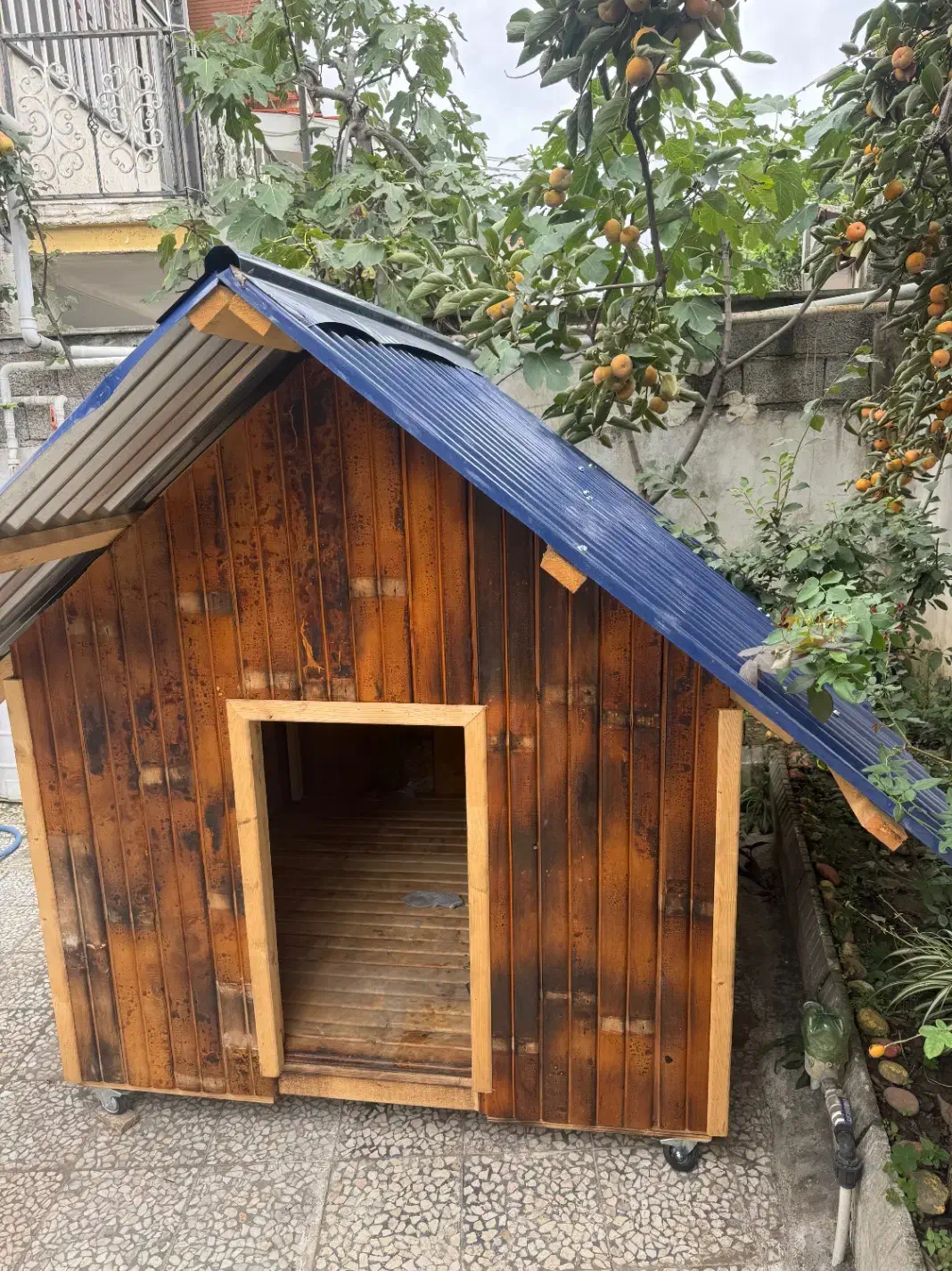 فروش کلبه چوبی سگ نوساز|لوازم جانبی حیوانات|رامسر, |دیوار