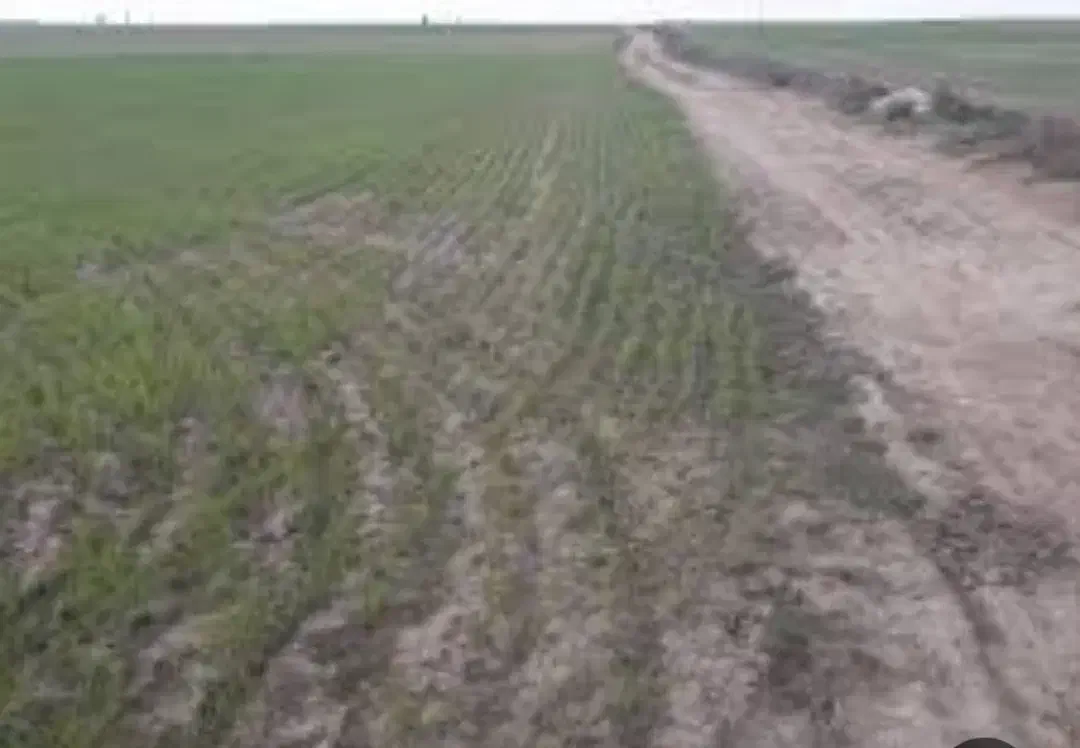 زمین کشاورزی|اجارهٔ دفتر صنعتی، کشاورزی، تجاری|قروه, |دیوار