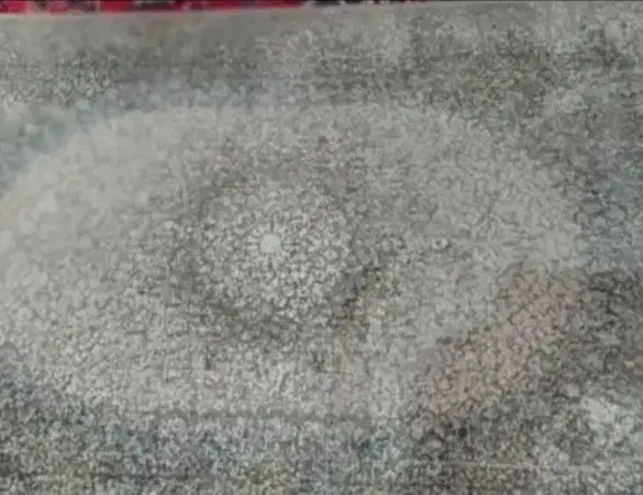 دو عدد پادری نو|پادری|تبریز, |دیوار