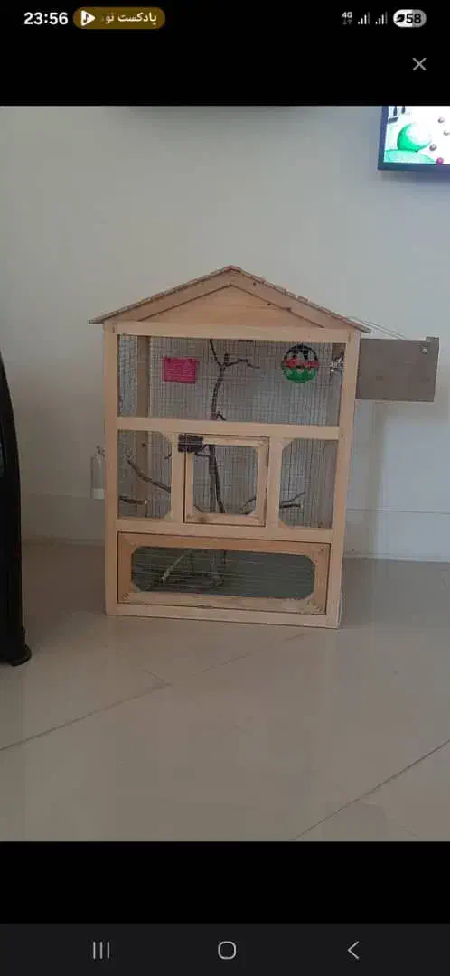 عروس هلندی با قفس|پرنده|شاهین‌شهر, عطار|دیوار