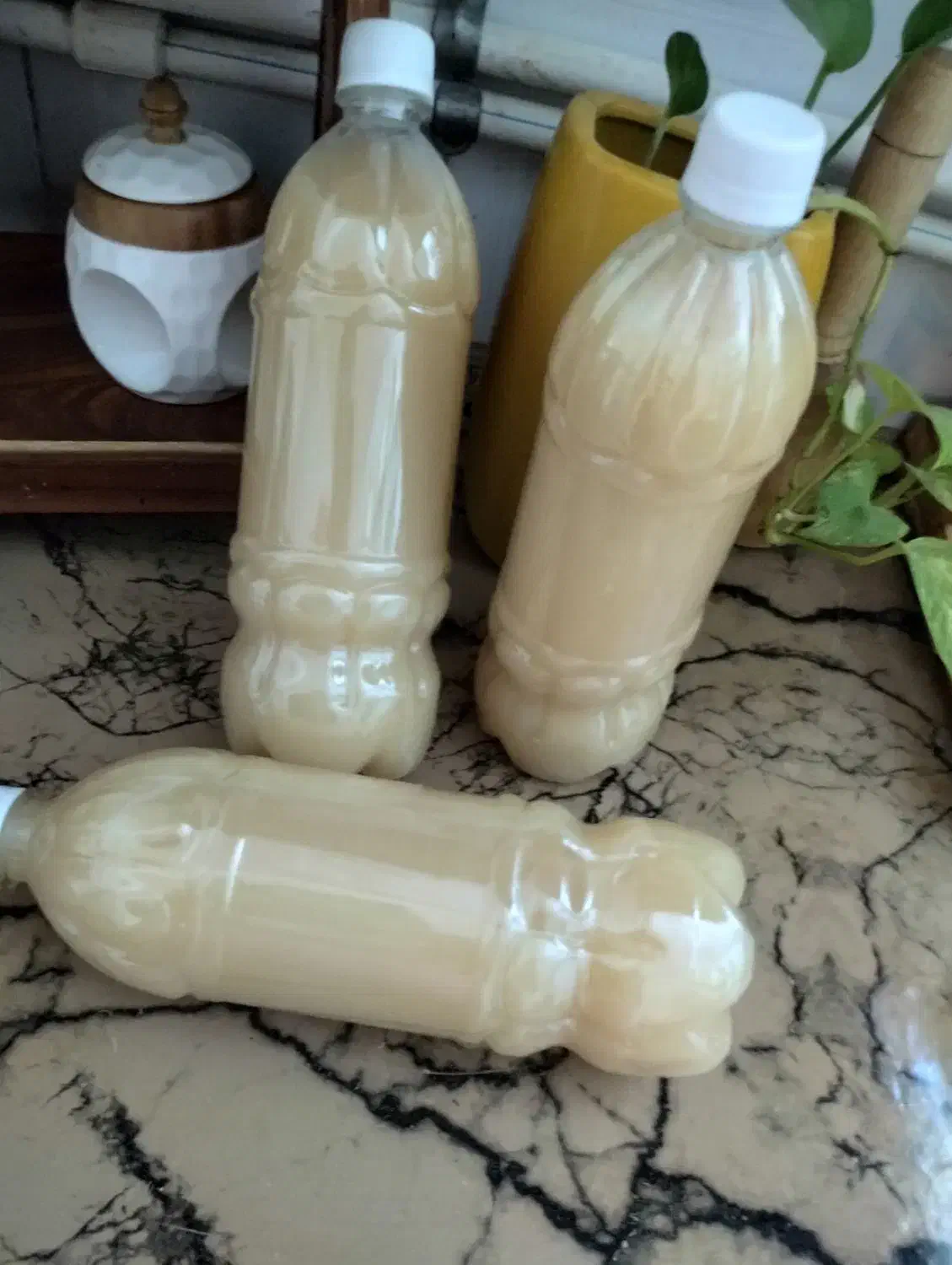 انواع محصولات خانگی|خوردنی و آشامیدنی|تربت‌حیدریه, اندیشه|دیوار