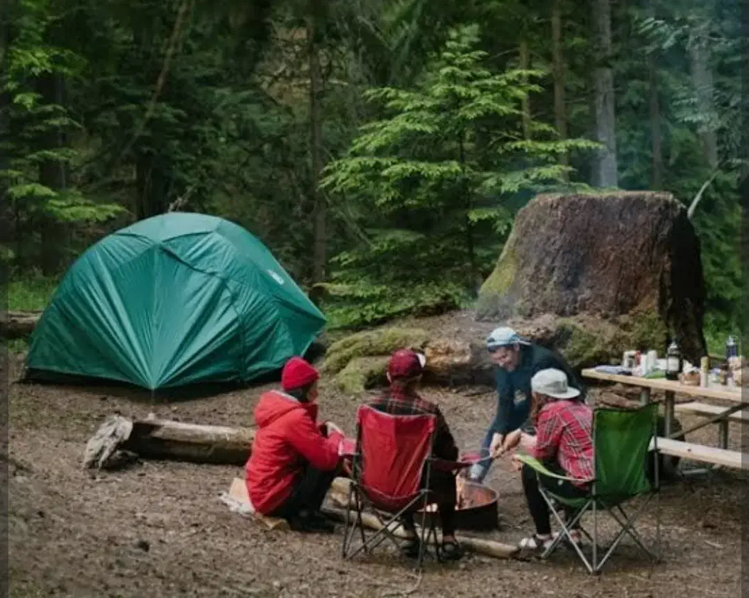 طبیعت گردی،دورهمی،ساحل گردی دوستانه و بدور ازحاشیه|تور و چارتر|بندر گناوه, |دیوار