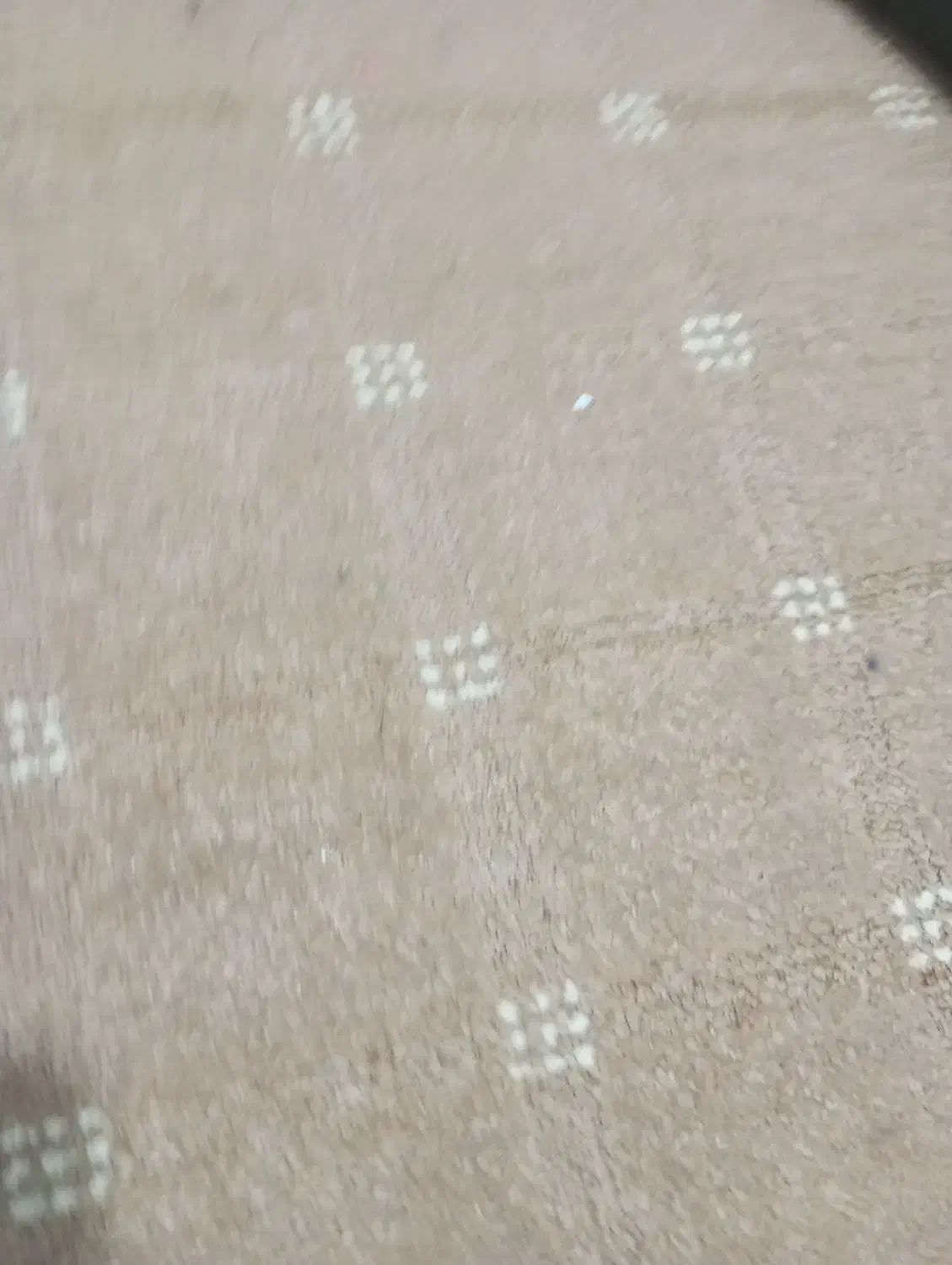 موکت|موکت|بندر امام خمینی, |دیوار