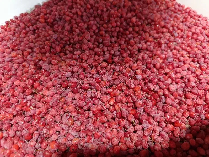 زرشک تازه باکیفیت خوب پاک شده با دستگاه|خوردنی و آشامیدنی|مشهد, رباط طرق|دیوار