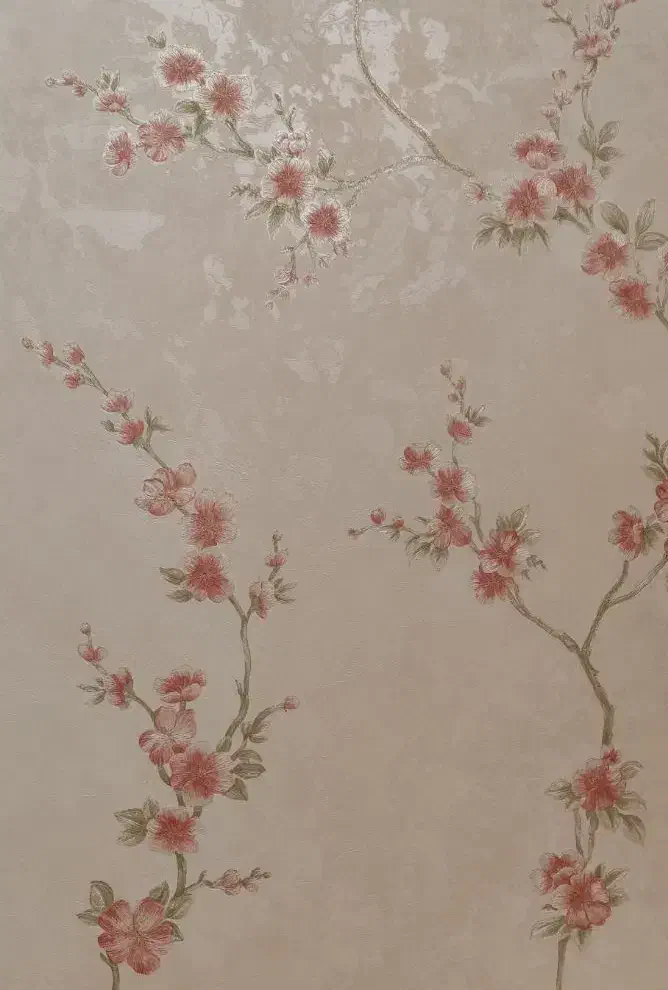 همکف مستقل فاز5|اجارهٔ خانه و ویلا|فسا, |دیوار