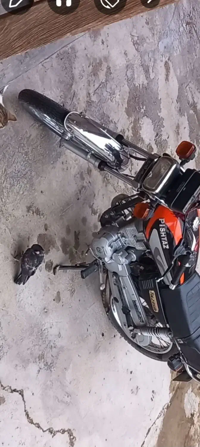 موتورسیکلت دزدیده شده.|اشیا|گنبد کاووس, |دیوار