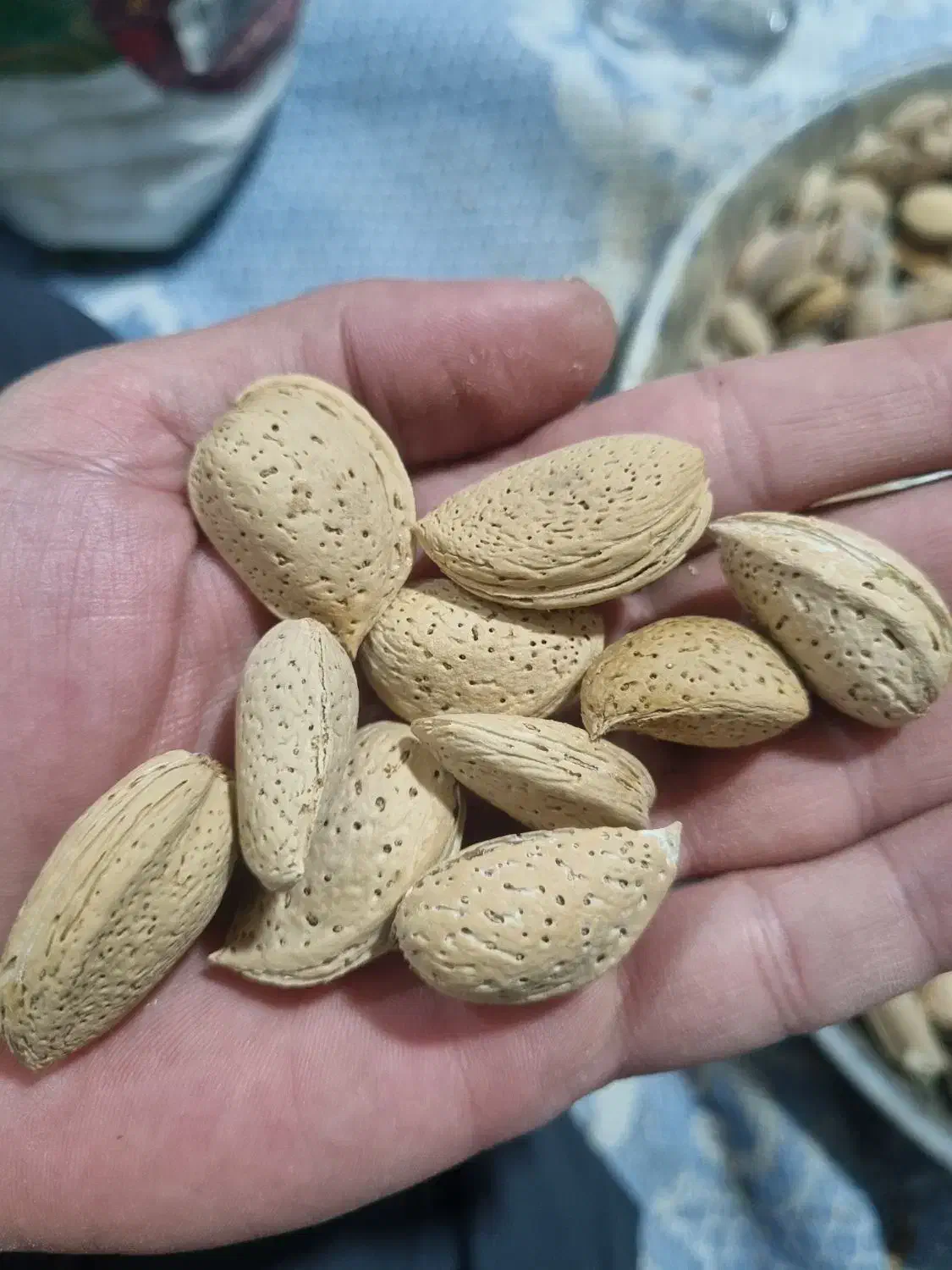 بادام محلی درجه یک|خوردنی و آشامیدنی|مهریز, |دیوار