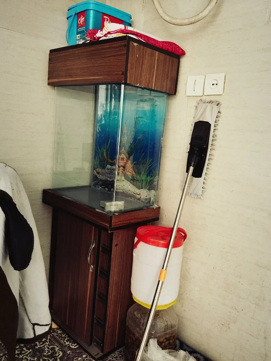 آکواریوم|ماهی|قدس, شهرقدس|دیوار