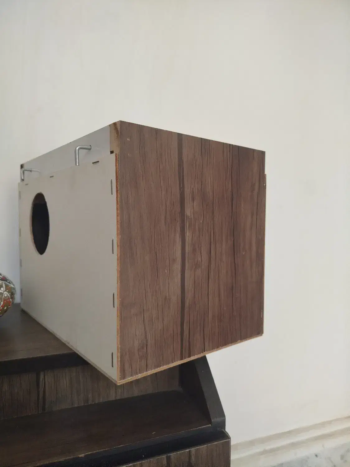 قفس عروس هلندی|لوازم جانبی حیوانات|مرودشت, مسجد رسول‎|دیوار