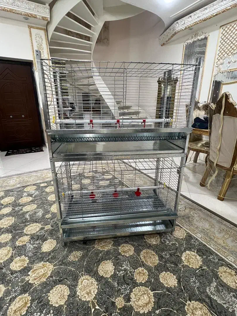 قفس جوجه یکروزه|لوازم جانبی حیوانات|رشت, کوی مهر|دیوار