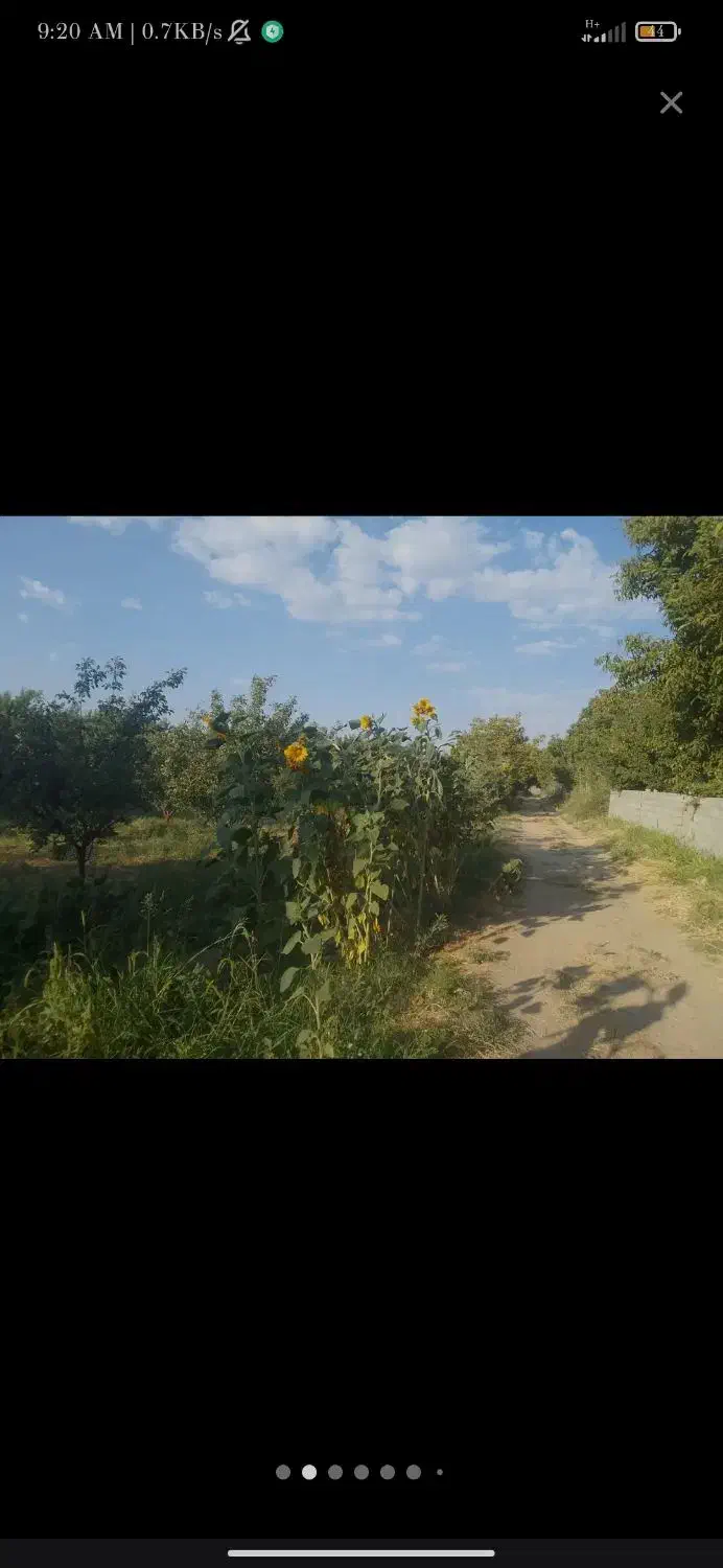 فروش باغ سیب مراغه|فروش زمین و ملک کلنگی|نظر کهریزی, |دیوار