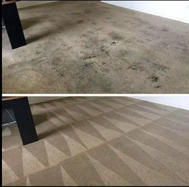 خدماتی،نظافتی و نظافتچی آقاو خانم سراسراصفهان|خدمات نظافت|اصفهان, ملک‌شهر|دیوار